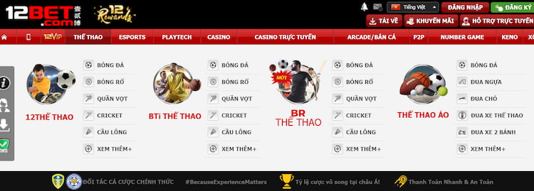 Các bộ môn thể thao