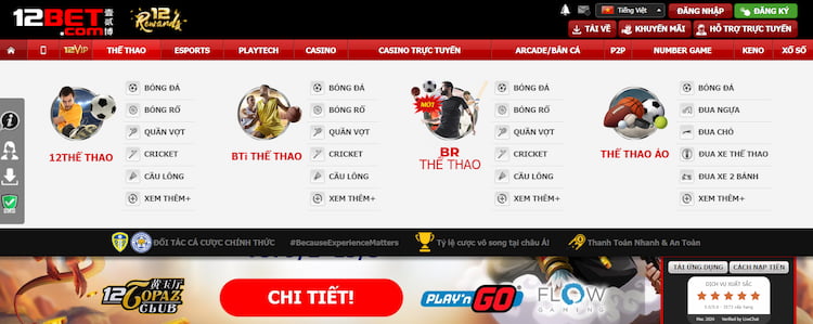 Chọn bộ môn bóng rổ