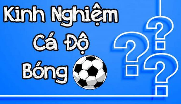 Kinh nghiệm cá cược bóng đá