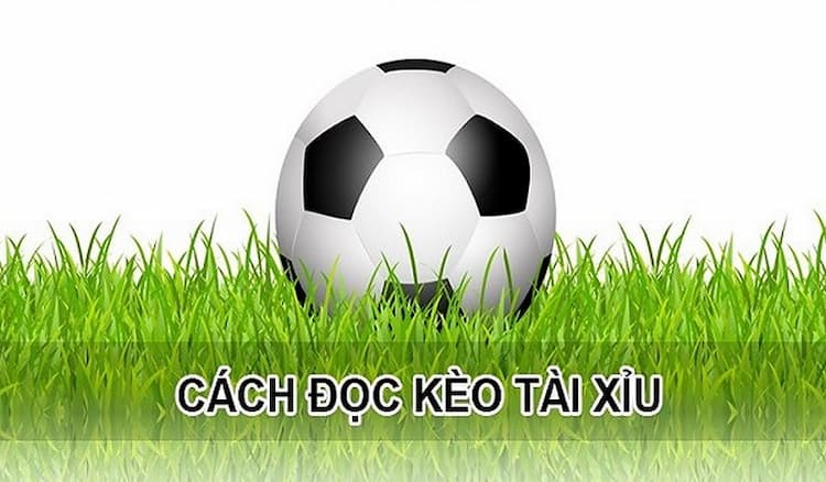 Thuật ngữ kèo tài xỉu